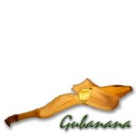 gubanana.jpg